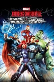 Biệt Đội Siêu Anh Hùng Bí Mật: Black Widow và Punisher - Avengers Confidential: Black Widow & Punisher (2014)