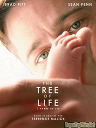 Cây Đời - The Tree of Life (2011)