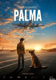 Chú Chó Palma - Palma (2021)