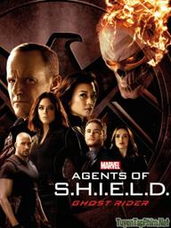 Đặc Vụ SHIELD (Phần 4) - Marvel's Agents Of S.H.I.E.L.D (Season 4) (2016)