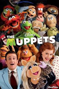 Đại nhạc hội rối - The Muppets (2011)