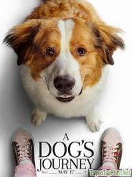 Hành Trình Của Chú Chó Bailey - A Dog's Journey (2019)
