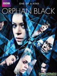 Hoán vị (Phần 3) - Orphan Black (Season 3) (2015)