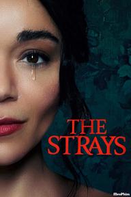 Kẻ lạc đường - The Strays (2023)