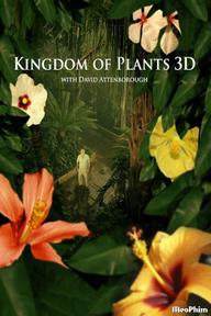 Kingdom of Plants - Kingdom of Plants (2012)