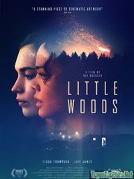 Lằn Ranh Số Phận - Little Woods (2019)