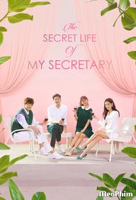 Nàng Thư Ký Của Tôi - The Secret Life of My Secretary (2019)