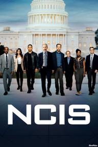 NCIS (Phần 12) - NCIS Season 12 (2014)