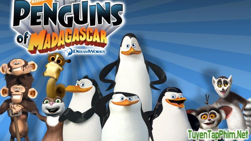Xem phim Những Chú Chim Cánh Cụt Đến Từ Madagascar (Bản truyền hình) The Penguins of Madagascar (TV Serials) Vietsub + Lồng tiếng việt