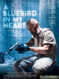 Quy Ẩn - A Bluebird in My Heart (2018)