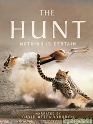 Săn mồi - The Hunt (BBC) (2015)