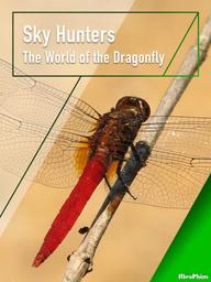 Sky Hunters - The World of Dragonfly - Sky Hunters - The World of Dragonfly (2010)