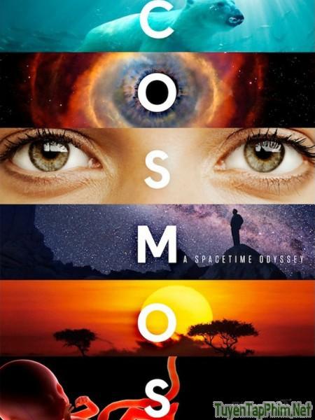 Vũ trụ kỳ diệu (Vũ trụ: Cuộc du hành không gian-Thời gian) - Cosmos: A Space-Time Odyssey (2014)